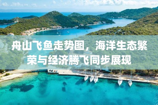 舟山飞鱼走势图，海洋生态繁荣与经济腾飞同步展现