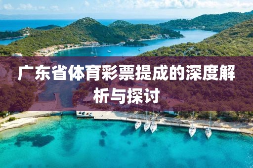 广东省体育彩票提成的深度解析与探讨