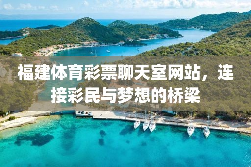 福建体育彩票聊天室网站，连接彩民与梦想的桥梁