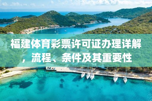 福建体育彩票许可证办理详解，流程、条件及其重要性