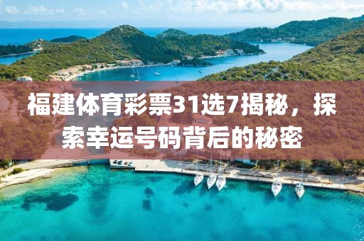 福建体育彩票31选7揭秘，探索幸运号码背后的秘密