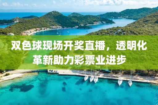 双色球现场开奖直播，透明化革新助力彩票业进步