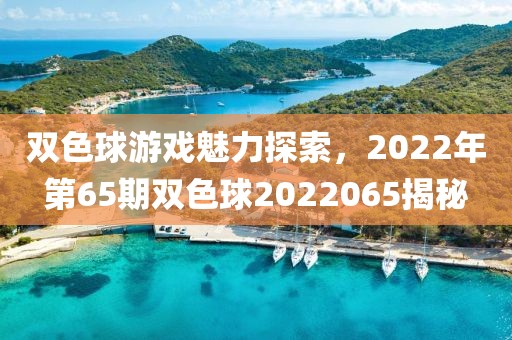 双色球游戏魅力探索，2022年第65期双色球2022065揭秘