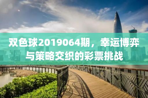 双色球2019064期，幸运博弈与策略交织的彩票挑战